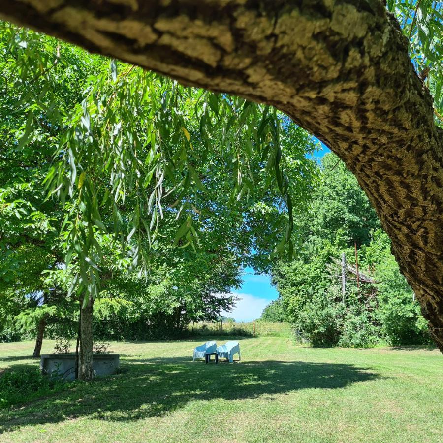 Bed and Breakfast Le Coq En Repos Saint-Sylvestre-sur-Lot Esterno foto