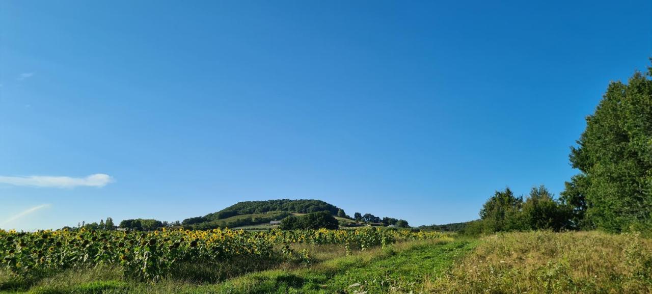 Bed and Breakfast Le Coq En Repos Saint-Sylvestre-sur-Lot Esterno foto