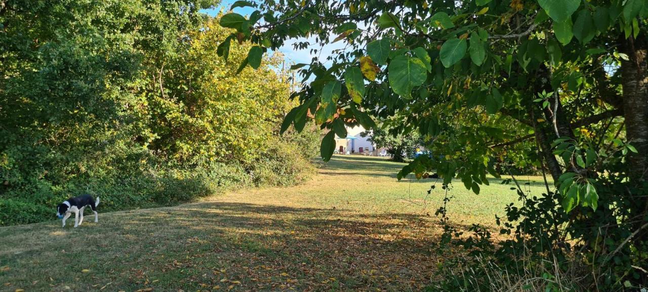 Bed and Breakfast Le Coq En Repos Saint-Sylvestre-sur-Lot Esterno foto